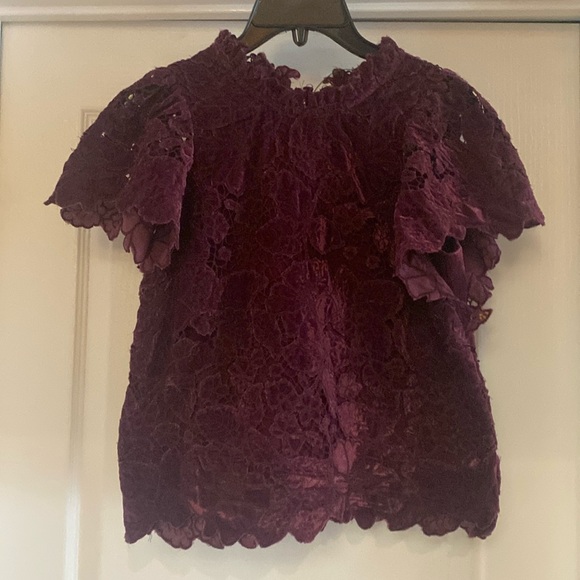 Anthropologie Tops - Anthropologie Outstanding velvet blouse, one of a kind